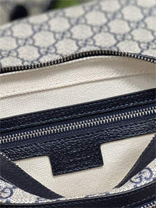 Gu.cci Ophidia GG Small Shoulder Bag GG Supreme Canvas 722117