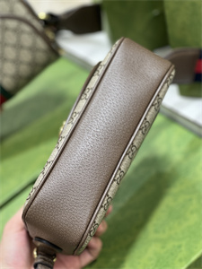 Gu.cci Ophidia GG Small Shoulder Bag GG Supreme Canvas 722117