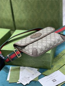 Gu.cci Neo Vintage Supreme Belt Bag 493930