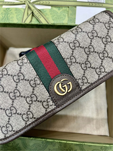 Gu.cci Ophidia GG Small Belt Bag 752597