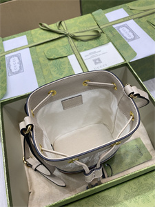 Gu.cci Ophidia GG Mini Bucket Bag 550620