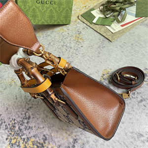 Gu.cci Diana Jumbo GG Mini Tote Bag 2 Straps 702732