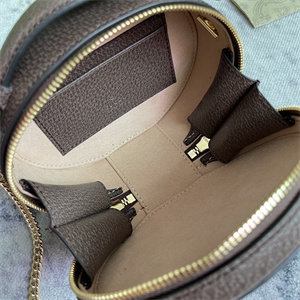 Gu.cci Ophidia Mini Chain Top Handle Bag GG Supreme Canvas 725147