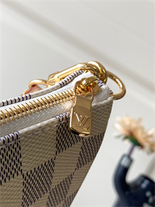 L.V Pochette Accessories Damier Azur N41207