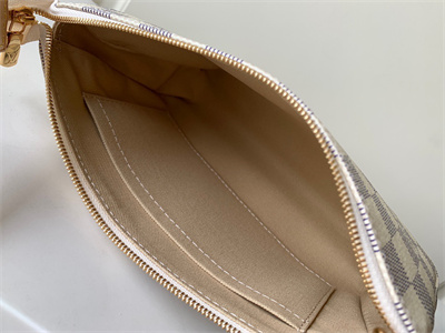 L.V Pochette Accessories Damier Azur N41207