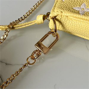 L.V Mini Pochette Accessories Monogram Empreinte Yellow M46129