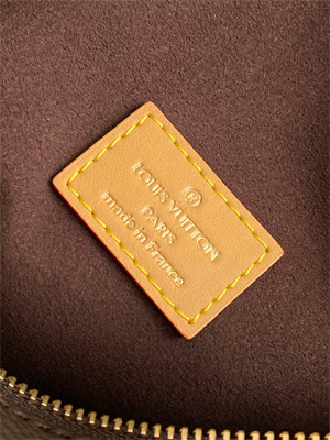 LV  Side Trunk MM  Monogram Canvas M46358