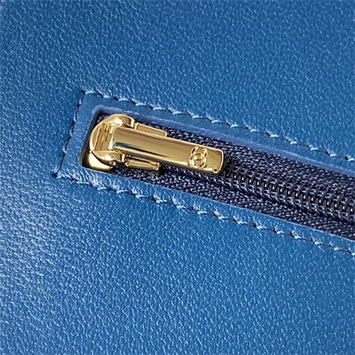 Cha.nel Wallet On Chain Lambskin Gold Tone Metal Little lion Blue AP3424