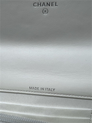 Cha.nel Wallet On Chain With Top Handle Shiny Calfskin Silver Tone Metal White AP3566