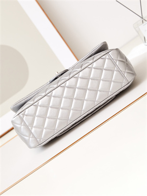 Cha.nel CF Airport Bag Calfskin Silver Tone Metal Silver AS4661