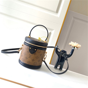 L.V Cannes Bag Monogram Reverse Canvas M43986