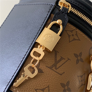 L.V Cannes Bag Monogram Reverse Canvas M43986