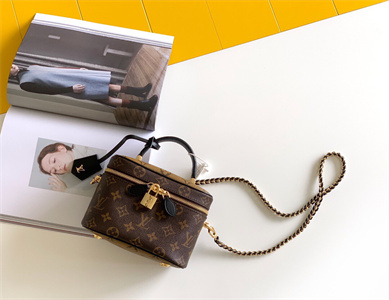 L.V Vanity PM Bag Monogram Canvas M45165
