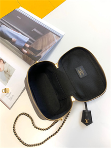 L.V Vanity PM Bag Monogram Canvas M45165