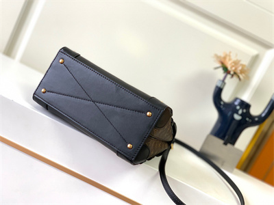 L.V Trianon PM Handbag Monogram Canvas & Cowhide Leather Black M45908