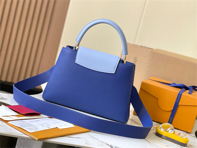 L.V Capucines MM Bag Taurillon  Leather Dark Blue/Light Blue M59466
