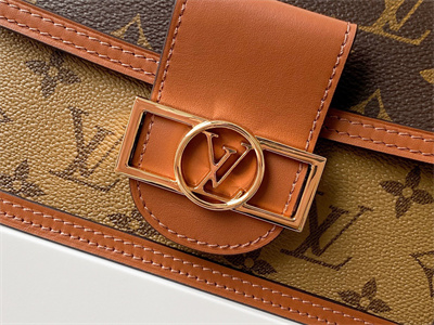 L.V Dauphine Chain Wallet Monogram Canvas M68746