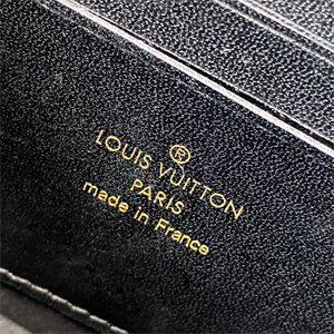 L.V Dauphine Chain Wallet Monogram Canvas M68746