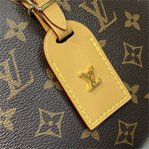 L.V Odéon PM Bag Monogram Canvas M45353