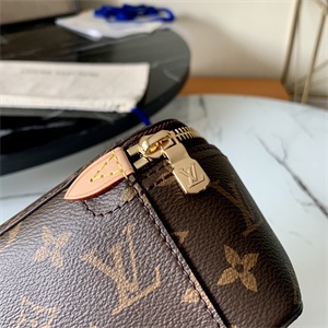 L.V Packing Cube PM Monogram Canvas M43688