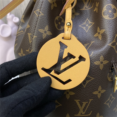 L.V Montsouris PM Backpack Monogram M45501