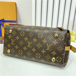 L.V Carryall PM Bag Monogram Canvas M46203