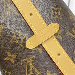 L.V Carryall PM Bag Monogram Canvas M46203