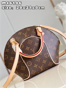 L.V Ellipse Bag Monogram Canvas M46196