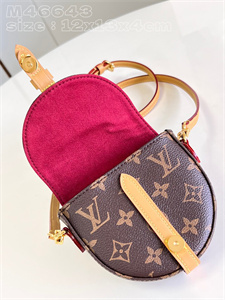 L.V Micro Chantilly Mini Bag Monogram Canvas M46643