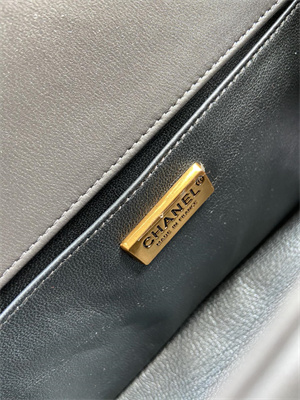 Cha.nel Medium Leboy Bag With Top Handle Python Leather Gold Metal A94804