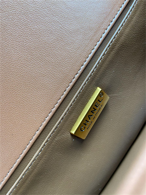 Cha.nel Medium Leboy Bag With Top Handle Python Leather Gold Metal A94804