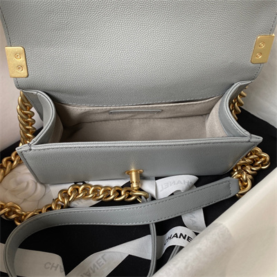 Cha.nel Small Leboy Bag With Top Handle Grained Calfskin Gold Metal Grey A94805