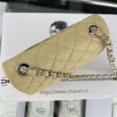Cha.nel Super Mini Classic Flap Bag Grained Calfskin Silver Tone Metal Beige 01115
