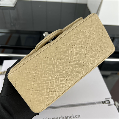 Cha.nel Super Mini Classic Flap Bag Grained Calfskin Silver Tone Metal Beige 01115