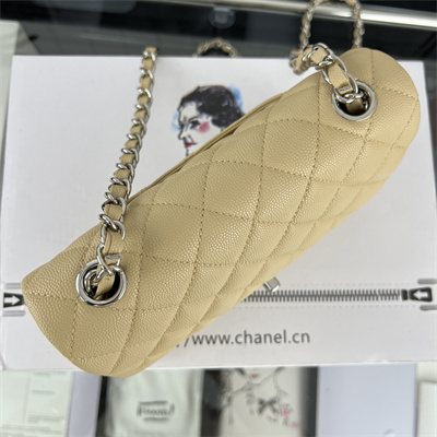 Cha.nel Mini Classic Flap Bag Grained Calfskin Silver Tone Metal Beige 01116