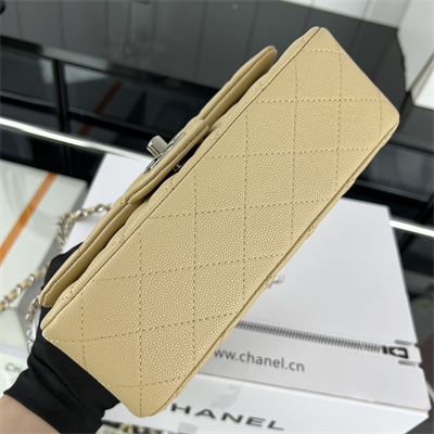 Cha.nel Mini Classic Flap Bag Grained Calfskin Silver Tone Metal Beige 01116