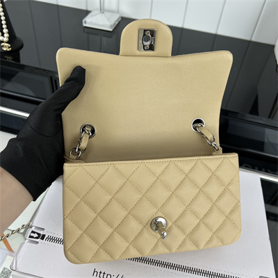 Cha.nel Mini Classic Flap Bag Grained Calfskin Silver Tone Metal Beige 01116