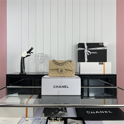 Cha.nel Small Classic Flap Bag Grained Calfskin Silver Tone Metal Beige 01117