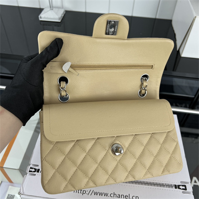 Cha.nel Small Classic Flap Bag Grained Calfskin Silver Tone Metal Beige 01117