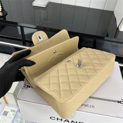 Cha.nel Small Classic Flap Bag Grained Calfskin Silver Tone Metal Beige 01117