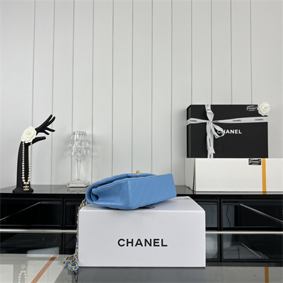 Cha.nel Small Classic Flap Bag Lambskin Gold Tone Metal Blue 01117