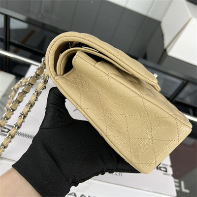 Cha.nel Medium Classic Flap Bag Grained Calfskin Silver Tone Metal Beige 01112