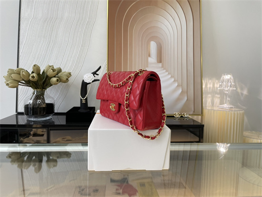 Cha.nel Medium Classic Flap Bag Lambskin Gold Tone Metal Red 01112