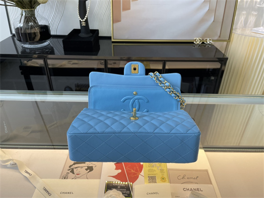Cha.nel Medium Classic Flap Bag Lambskin Gold Tone Metal Blue 01112