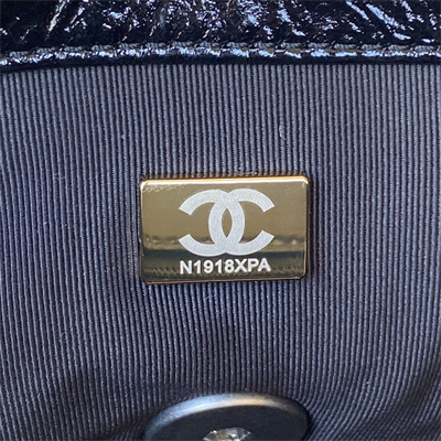 Cha.nel 19 Handbag Shiny Aged Calfskin Silver Double C Metal Black AS1160