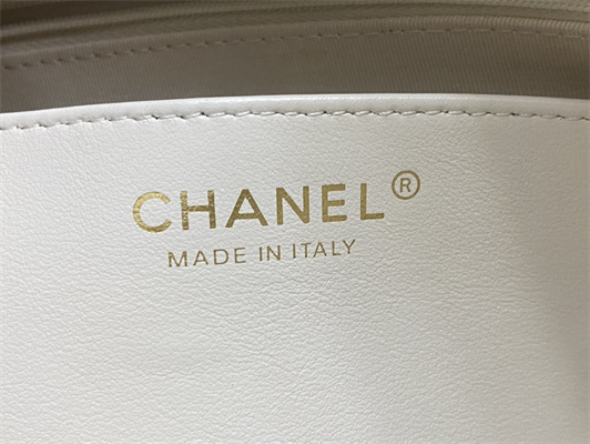 Cha.nel Hobo Handbag Tote Bag Calfskin Gold Tone Metal White AS4210