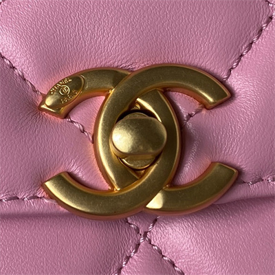 Cha.nel Backpack Lambskin Gold Tone Metal Pink AS3884