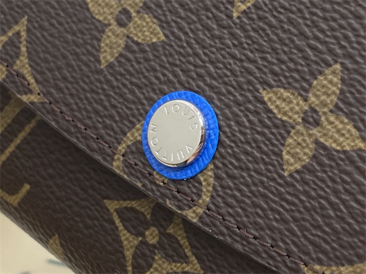L.V Emilie Wallet Monogram Canvas Blue M82919
