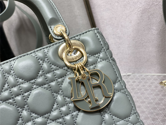 CD Small Lady Di.or My ABCDior Bag Cannage Lambskin Enamel Charms Gold Tone Metal Stone Grey