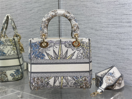 CD Medium Lady Di.or D-Lite Bag R??ve d’Infini  Embroidery White and Multicolor